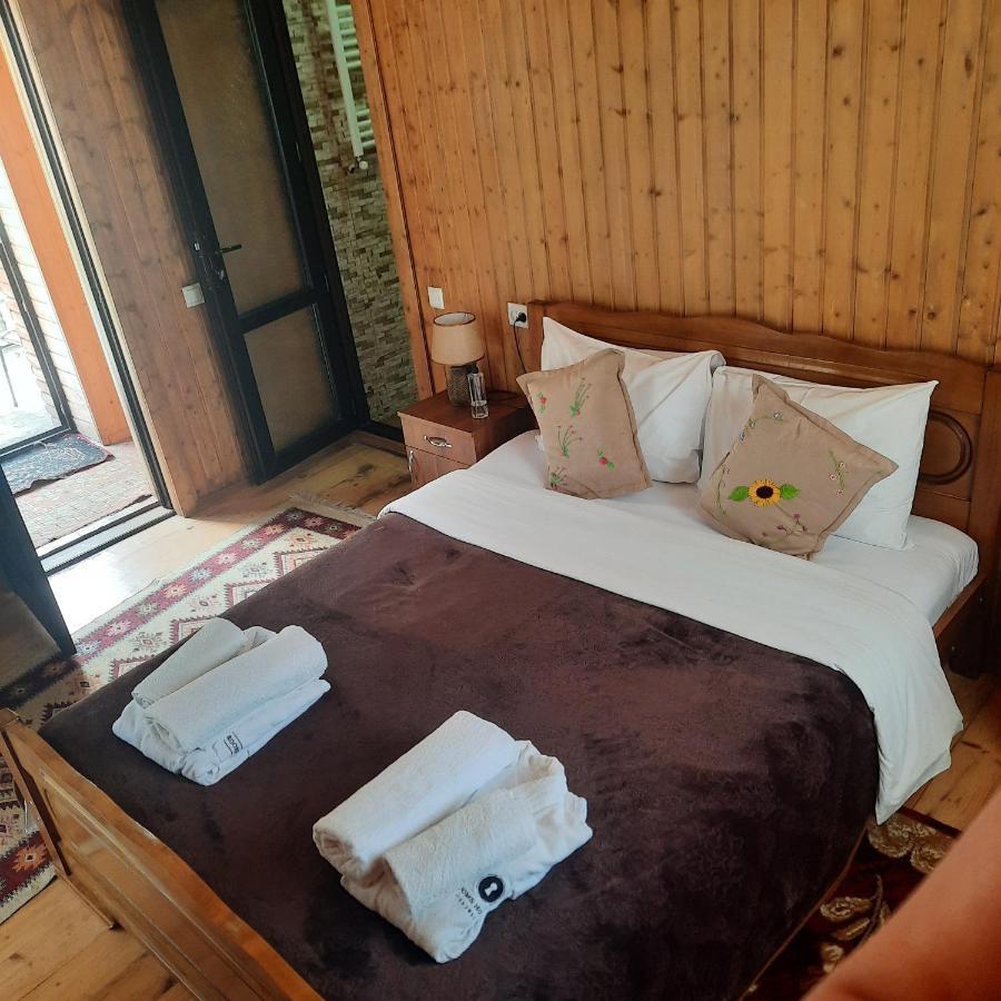 Bana Otel Kazbegi Dış mekan fotoğraf